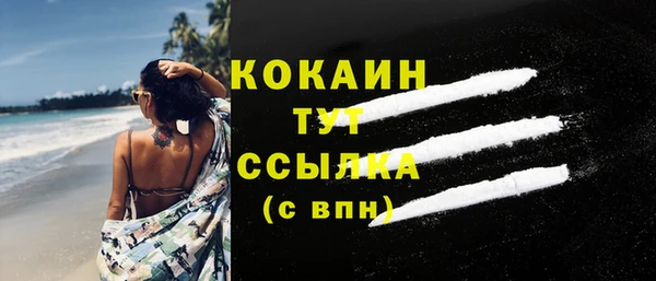 сатива Коряжма
