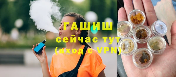 сатива Коряжма
