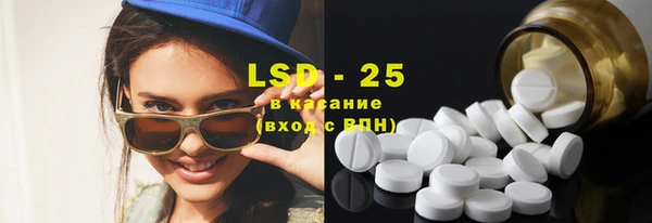 стаф Козловка