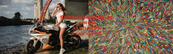 PSILOCYBIN Корсаков