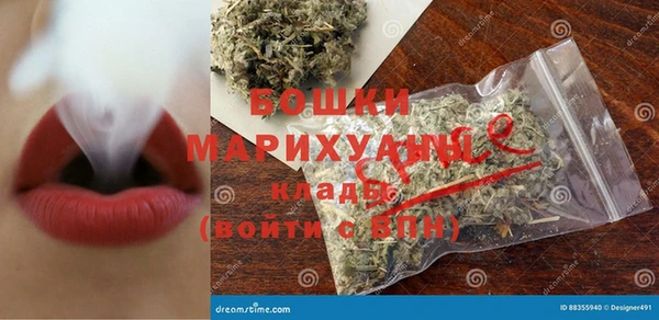 сатива Коряжма