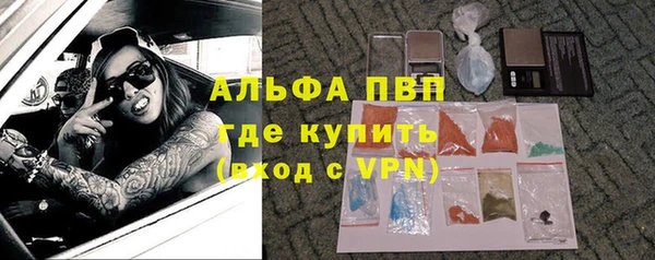 стаф Козловка