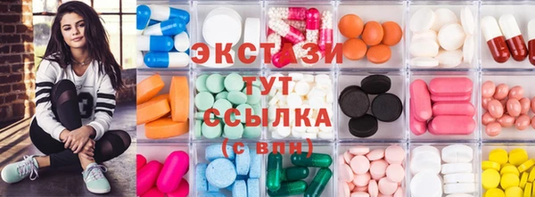 стаф Козловка